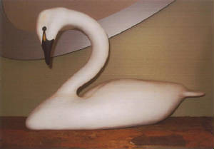 swan.JPG